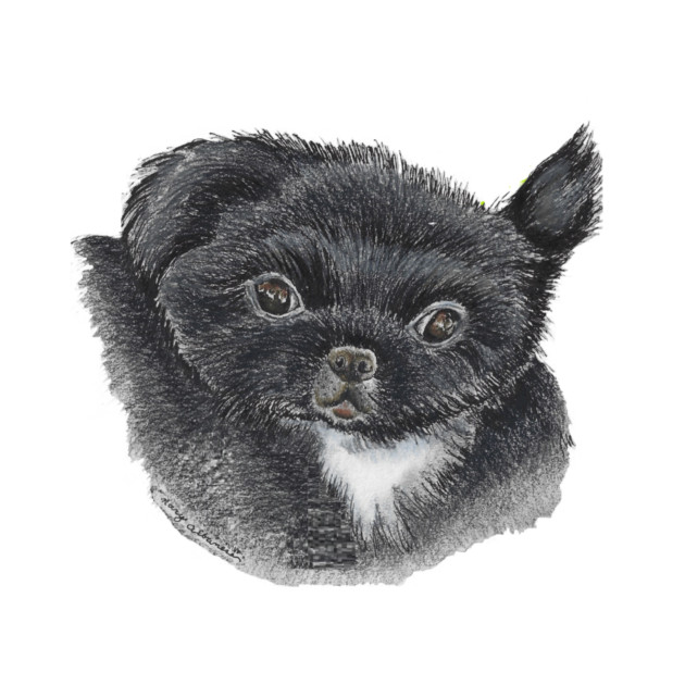 Baby Lucca by Dr. Mary