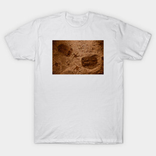 Fossil T-Shirt