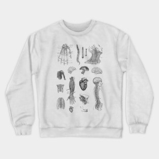 Vintage Anatomy Illustration Crewneck Sweatshirt