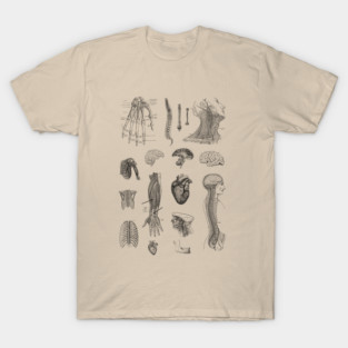 Vintage Anatomy Illustration T-Shirt