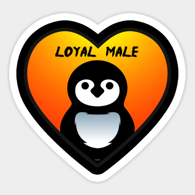Loyal Male Penguin Valentine Love Funny Humor Magnet by creative