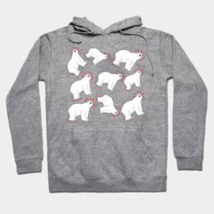 Polar Bears and Dipoles Hoodie