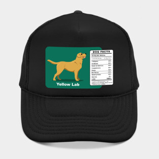 Yellow Lab Dog Hat