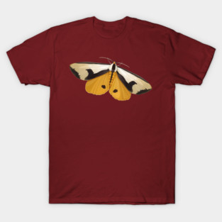 Clymene Moth - showin' and hidin' T-Shirt