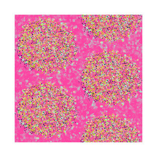 Dot Circles and Texture T-Shirt