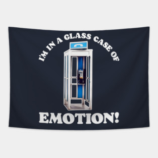 Glass Case of Emotion Tapestry