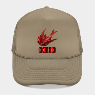 Vintage Style Ohio Cardinals Hat