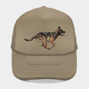 Cute Belgian Malinois | Belgian Shepherd Dog Hat