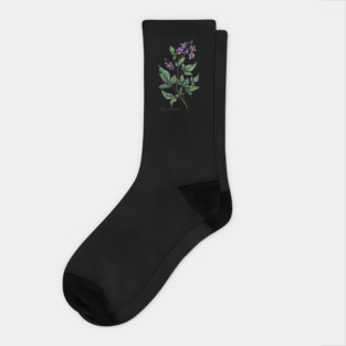 Bitter Nightshade. Witchy herb. Socks