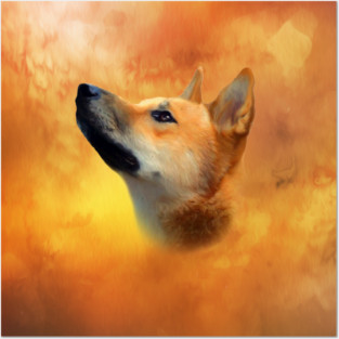 Dingo Posters and Art