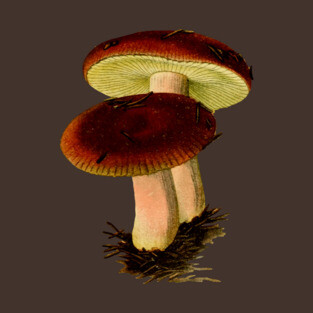 two lil mushrooms T-Shirt