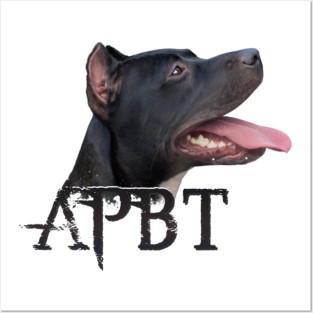 American Pit Bull Terrier Posters and Art