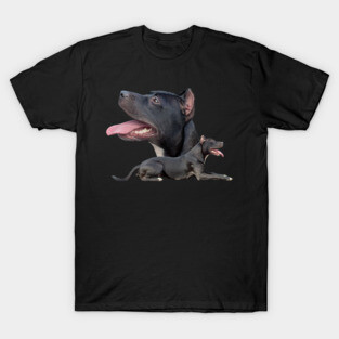 American Pit Bull Terrier T-Shirt