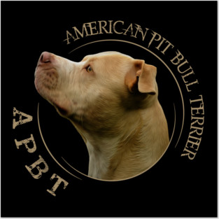 American Pit Bull Terrier Posters and Art