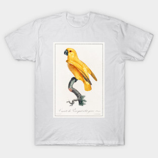 Senegal Parrot (1801—1805) T-Shirt