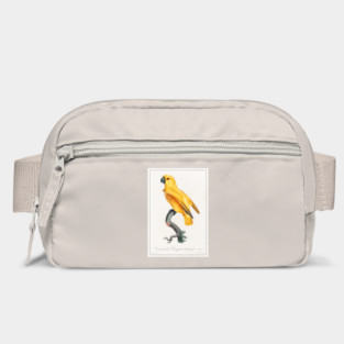 Senegal Parrot (1801—1805) Bag