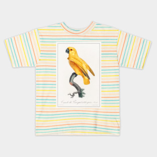Senegal Parrot (1801—1805) Kids T-Shirt
