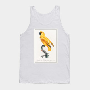 Senegal Parrot (1801—1805) Tank Top
