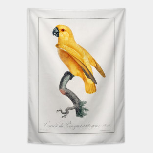 Senegal Parrot (1801—1805) Tapestry