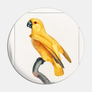 Senegal Parrot (1801—1805) Pin