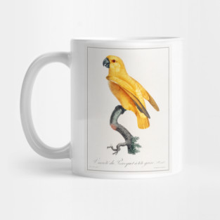 Senegal Parrot (1801—1805) Mug