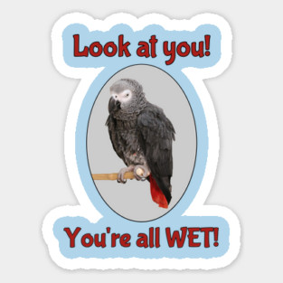 African Grey Parrot on Perch Magnet