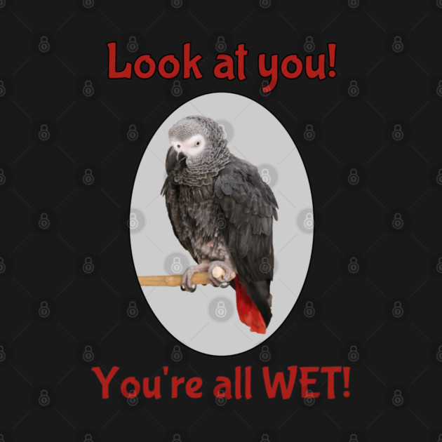 African Grey Parrot on Perch by Einstein Parrot