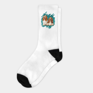 Basset Hound Socks