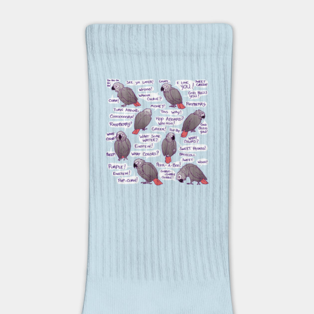 African Grey Parrot Einstein Funny Quotes by Einstein Parrot