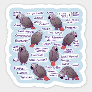 African Grey Parrot Einstein Funny Quotes Magnet