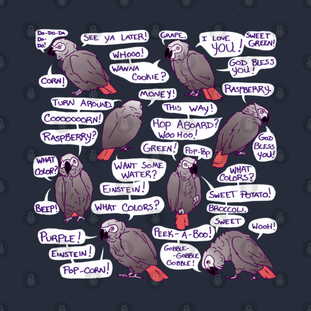 African Grey Parrot Einstein Funny Quotes by Einstein Parrot