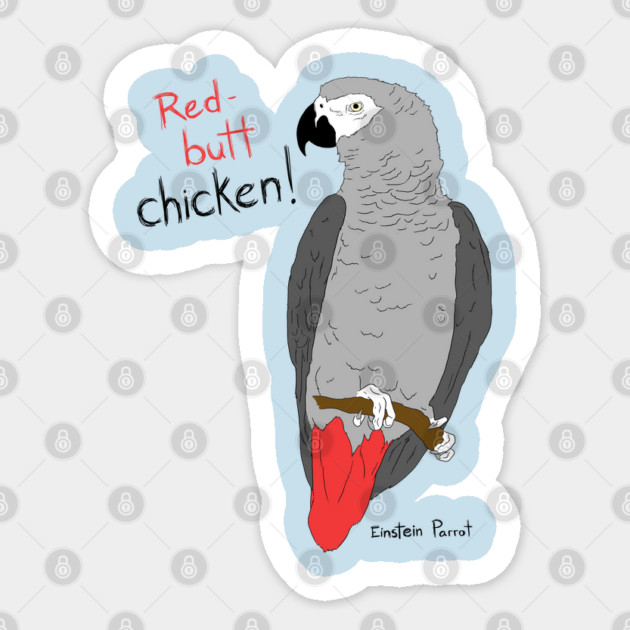 African Grey Parrot Red Butt Chicken Sticker by Einstein Parrot