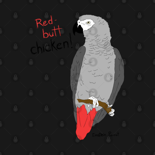 African Grey Parrot Red Butt Chicken by Einstein Parrot