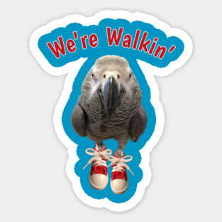 African Grey Parrot Walking Exercise Tennis Shoe Magnet