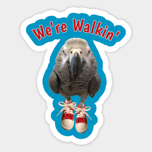 African Grey Parrot Walking Exercise Tennis Shoe Magnet by Einstein Parrot
