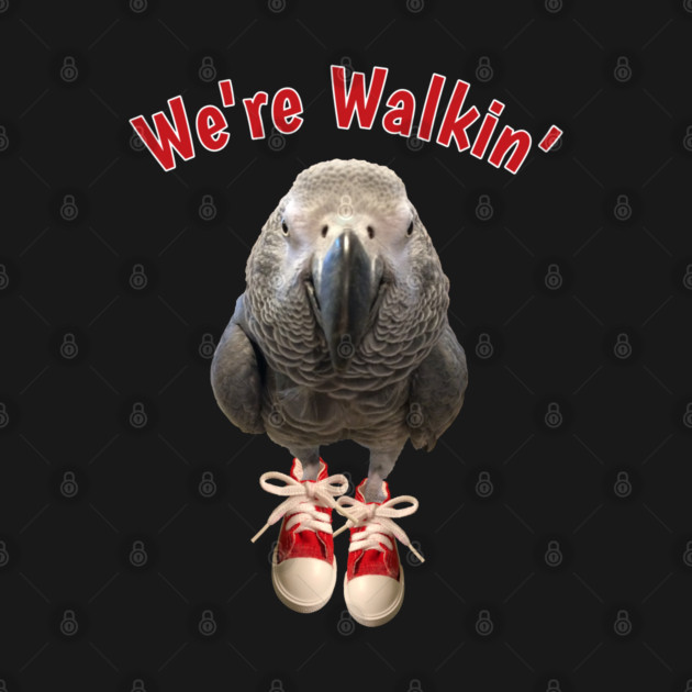 African Grey Parrot Walking Exercise Tennis Shoe by Einstein Parrot