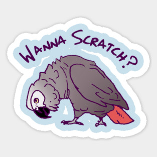 African Grey Parrot Wanna Scratch Sticker
