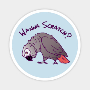 African Grey Parrot Wanna Scratch Magnet