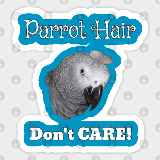 African Grey Parrot Feather Hair Sticker by Einstein Parrot