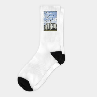The Birds travel movie Socks