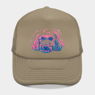 Bichpoo Hat