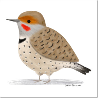 Northern Flicker Bird Posters and Art