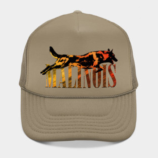 Malinois  - Belgian shepherd - Mechelaar Hat