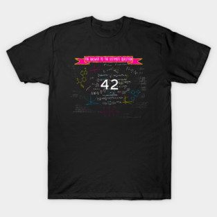 The answer to the ultimate question 42 T-Shirt