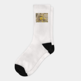 Golden flower on mediterranean hillside Socks