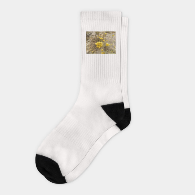 Golden flower on mediterranean hillside Socks by Edoga Pooblish