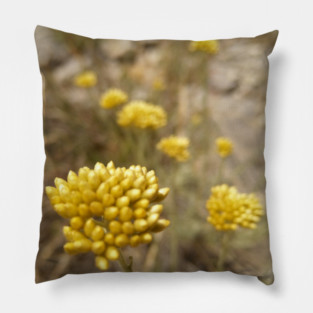 Golden flower on mediterranean hillside Pillow
