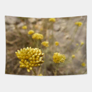 Golden flower on mediterranean hillside Tapestry