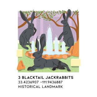 3 Blacktail Jackrabbits T-Shirt