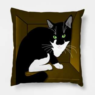 Cute Tuxedo Cat Cat in a box Copyright TeAnne Pillow